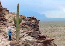 Diana and cactus found on hike